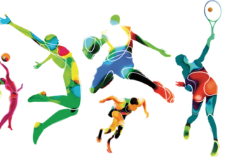 Saison Cross 2018-2019