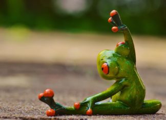 Le Comité Social et Economique et le fitness