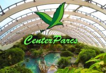 Le CSE, la famille et Center Parcs
