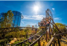 Week-end Europa-Park Du 27 au 28 octobre 2026